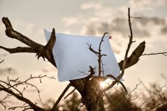 Péřový polštář Swiss Dream Soft CLC 90