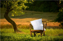 Polštář Silver Origin