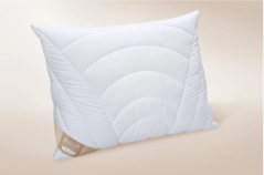 Organický polštář ClimaActive Bio Gots