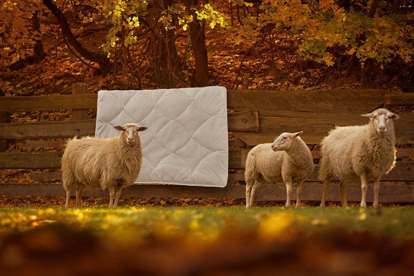Vlněná přikrývka Komfort Wool celoroční